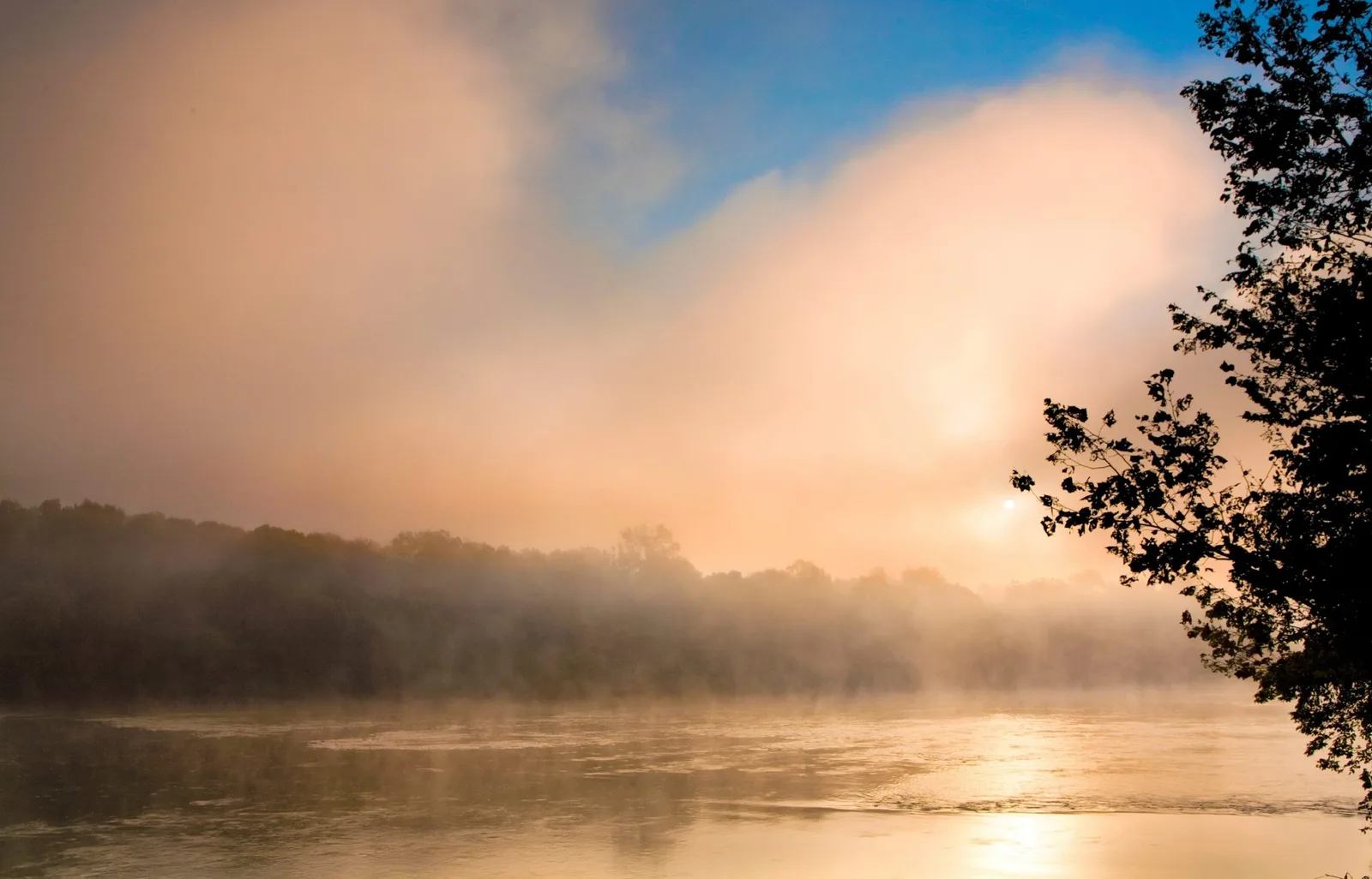 Morning fog lifting off the water